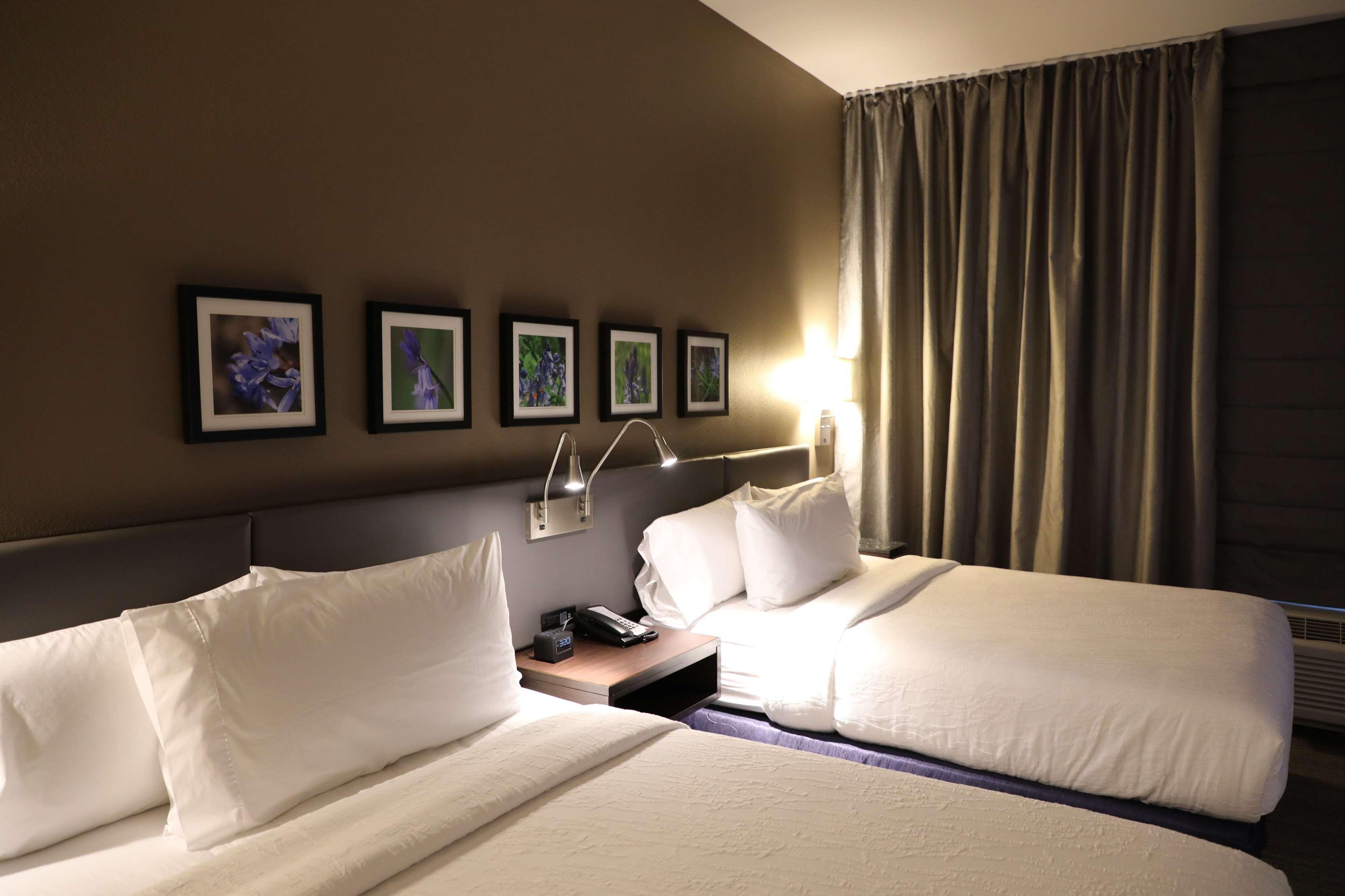 Hilton Garden Inn Austin Airport Extérieur photo