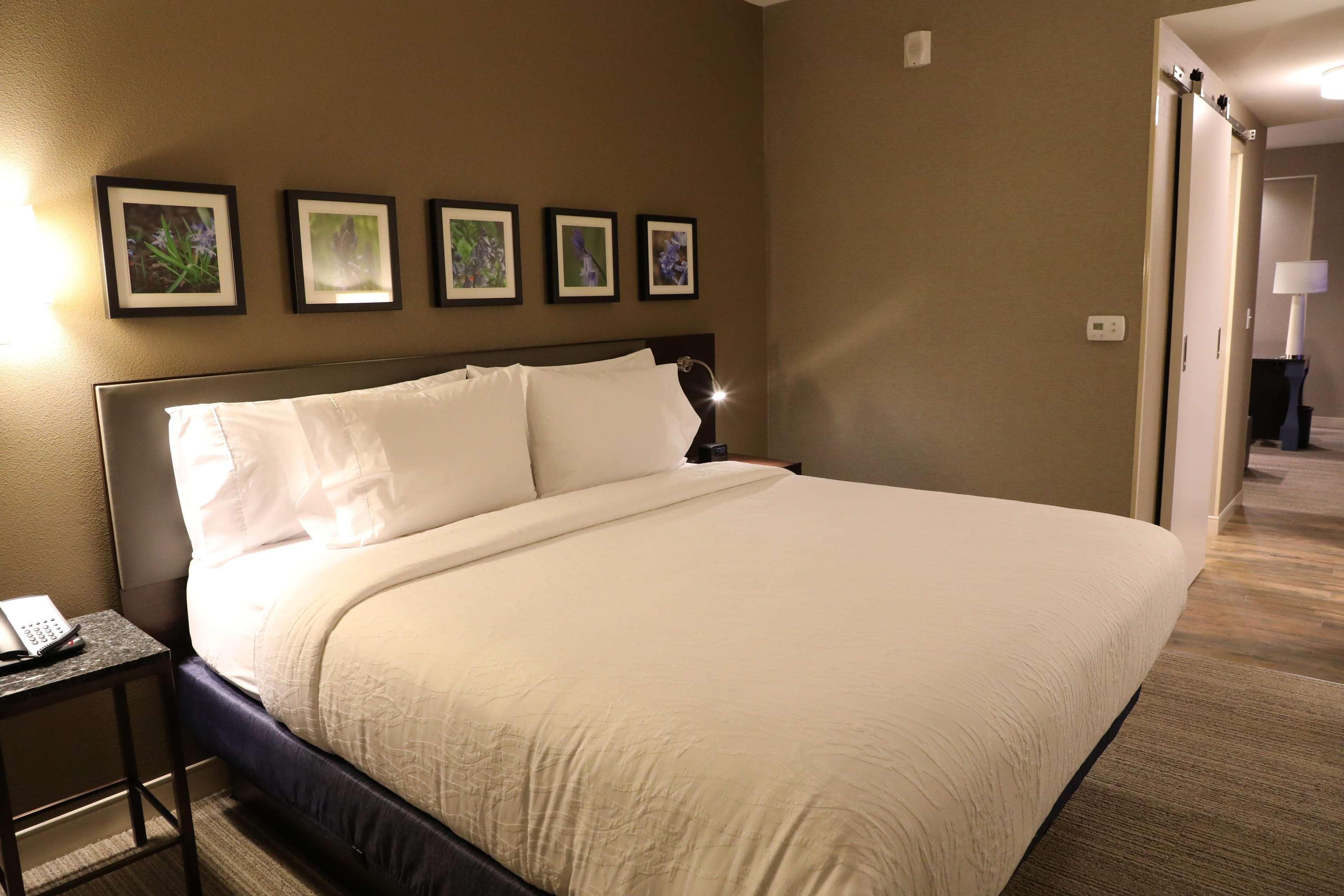Hilton Garden Inn Austin Airport Extérieur photo